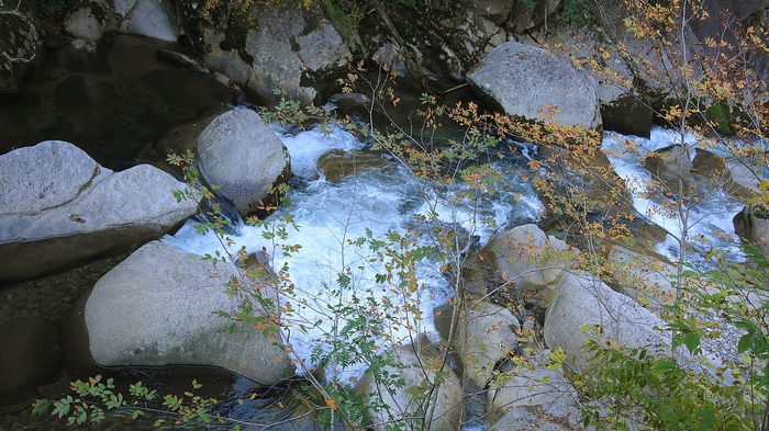 DSC03037