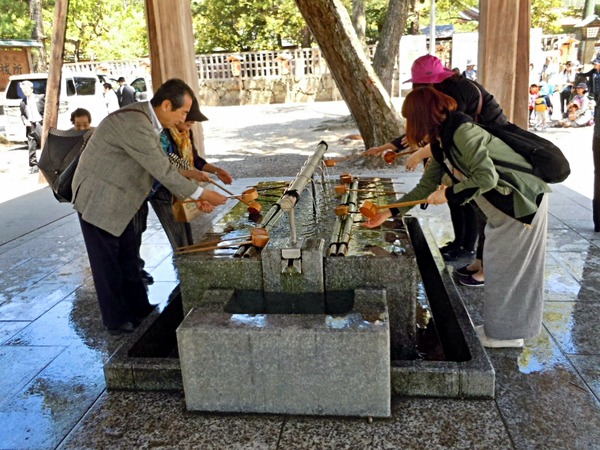 DSCN8885