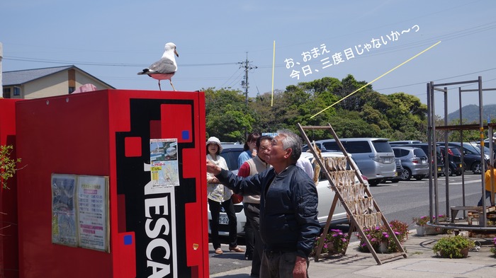 DSC0526711