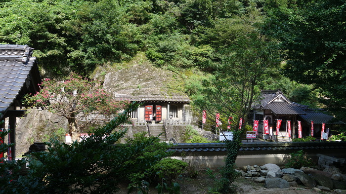 DSC03179