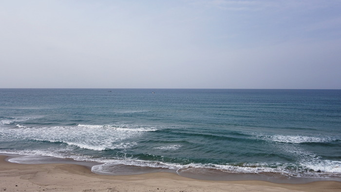 DSC06753