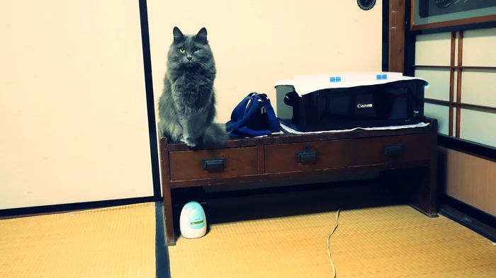 DSC07309n