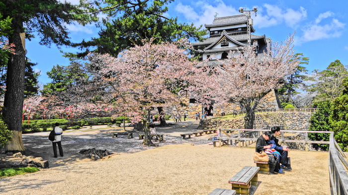 DSC08954