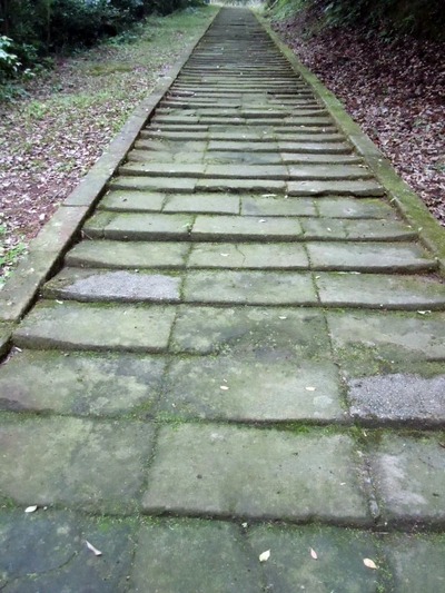 DSCN1183