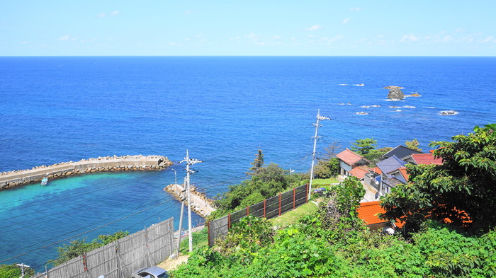 DSC00641