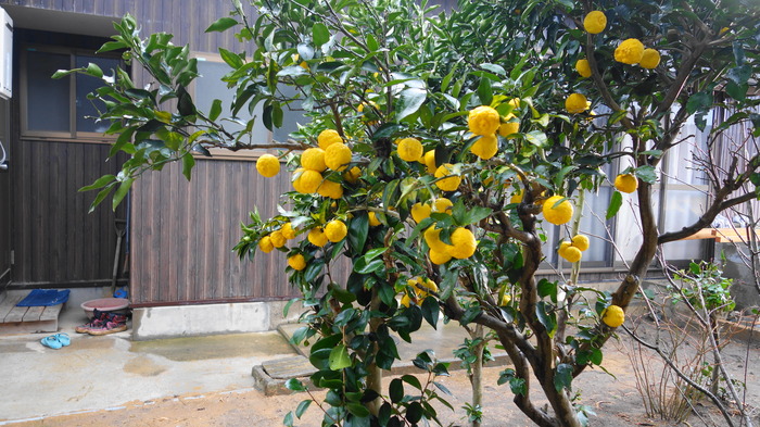 DSC05213