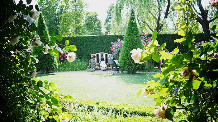 DSC06978