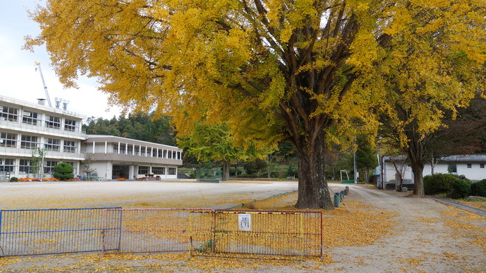 DSC05220
