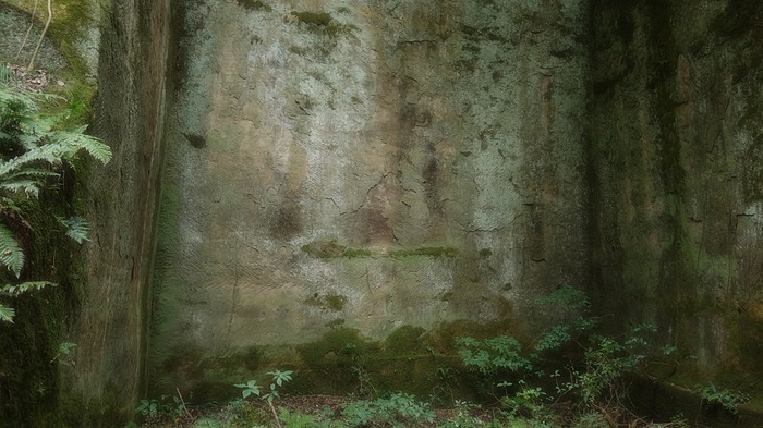 DSC01795