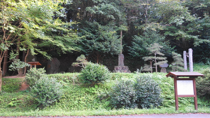 DSC00988