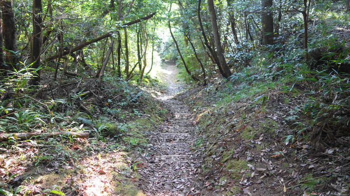 DSC00974