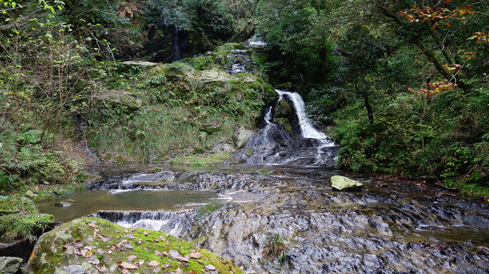 DSC06590