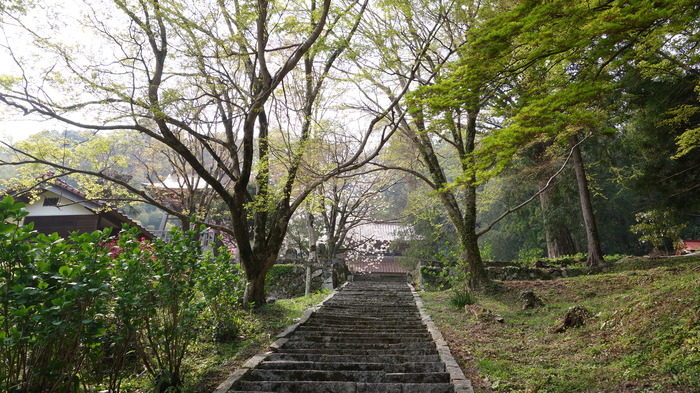 DSC03419