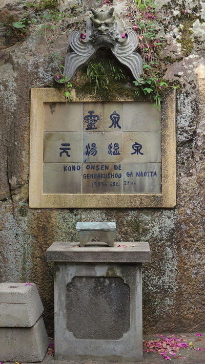 DSC00255 (1)