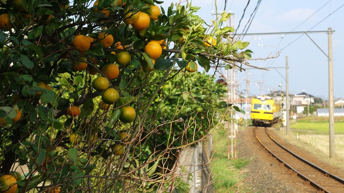 DSC04925 (1)
