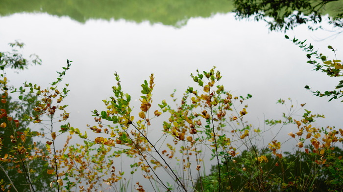 DSC05606
