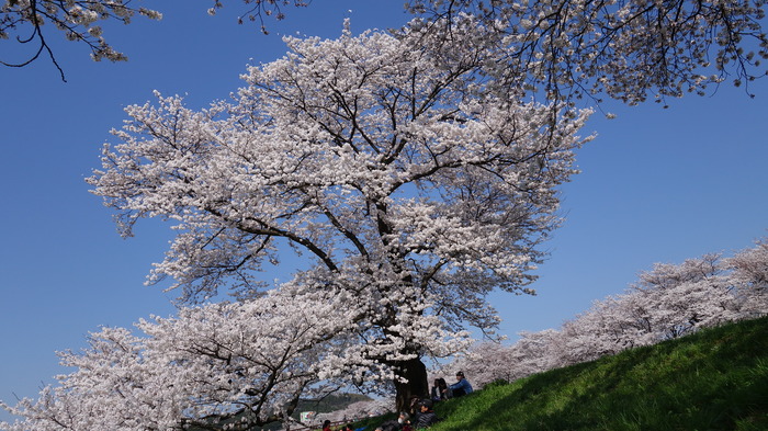 DSC02748111