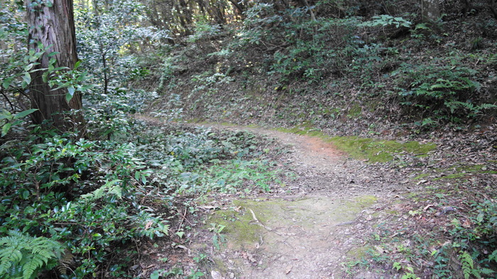 DSC00970