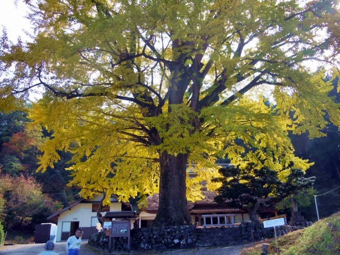 DSCN3544
