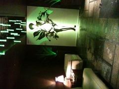 IMG_0480