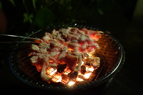 DSC05146
