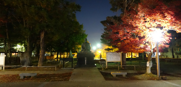 new_DSC07415