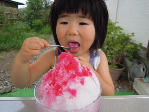 DSCN6791