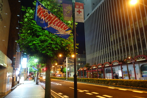 DSC02711