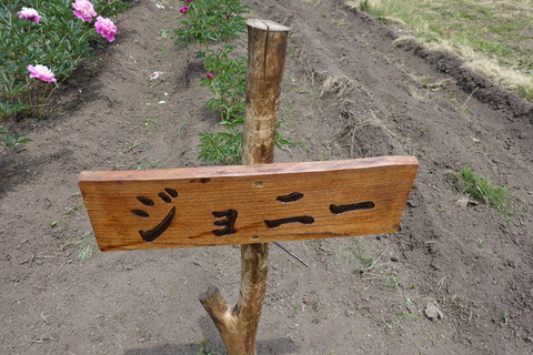 DSC04016
