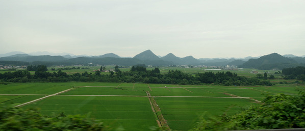 new_DSC08818