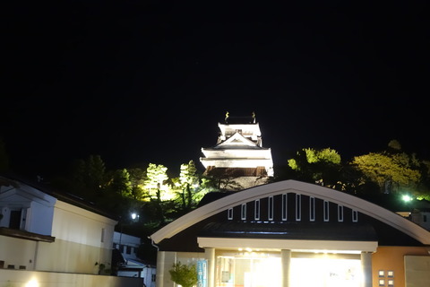 DSC06730