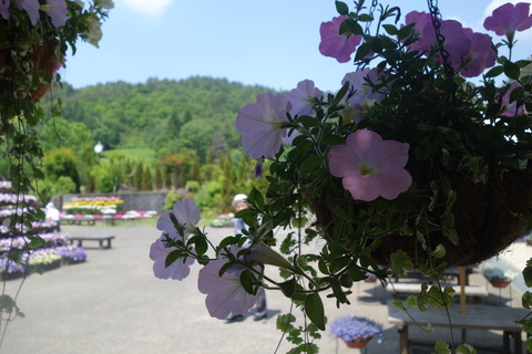 DSC02083