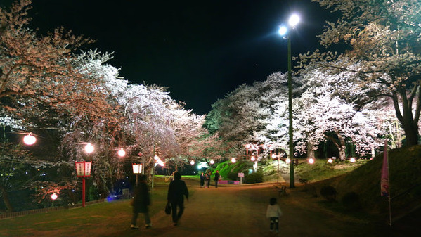 new_DSC02357