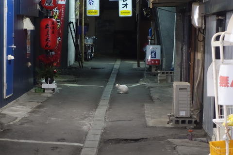 DSC07476