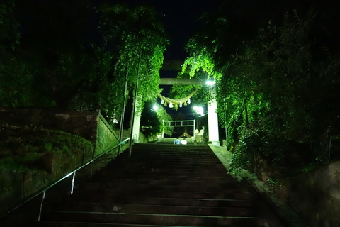 DSC01736