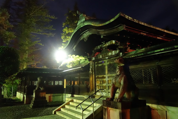 DSC07506