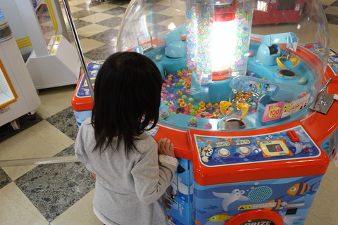 DSC08484