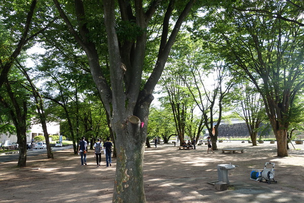 DSC02045