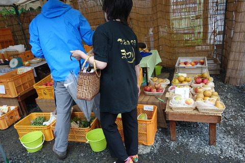 DSC04599