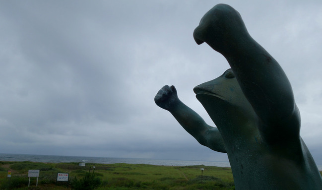 new_DSC00027