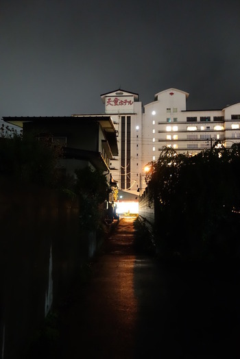 DSC04312