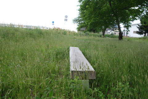 DSC00655