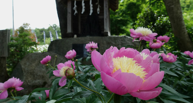 new_DSC04076