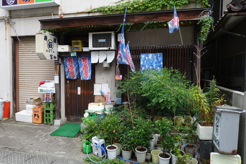DSC01989