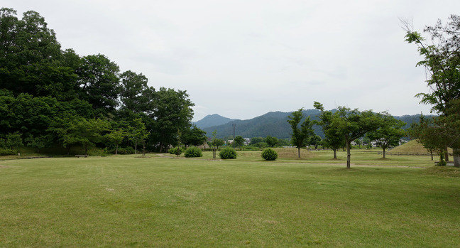 new_DSC03174