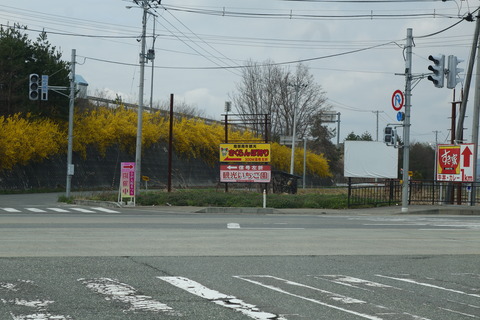 DSC05154