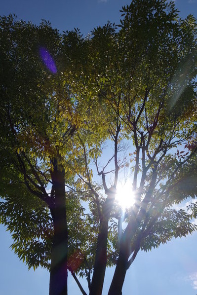 DSC08435