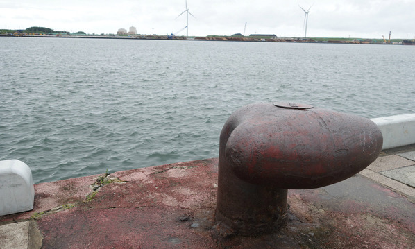 new_DSC09843