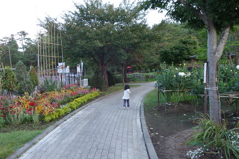 DSC07794