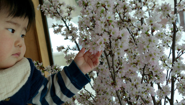 new_new_DSC04590